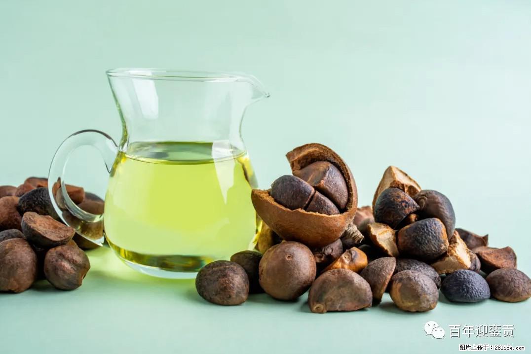 世界没有真相，只有认知，最好的食用油是中国的山茶油！ - 内江生活资讯 - 内江28生活网 scnj.28life.com