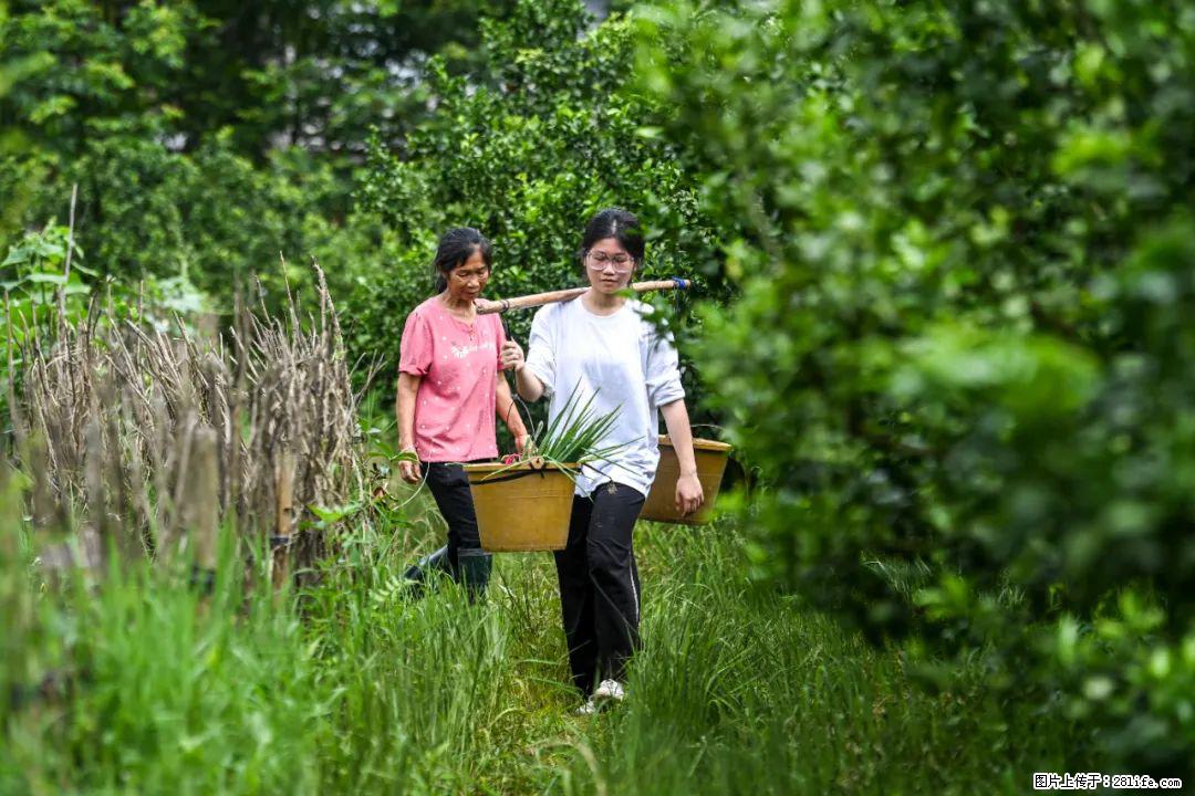 全网追的“扁担女孩”,找了一份暑假工,时薪12元 - 内江生活资讯 - 内江28生活网 scnj.28life.com