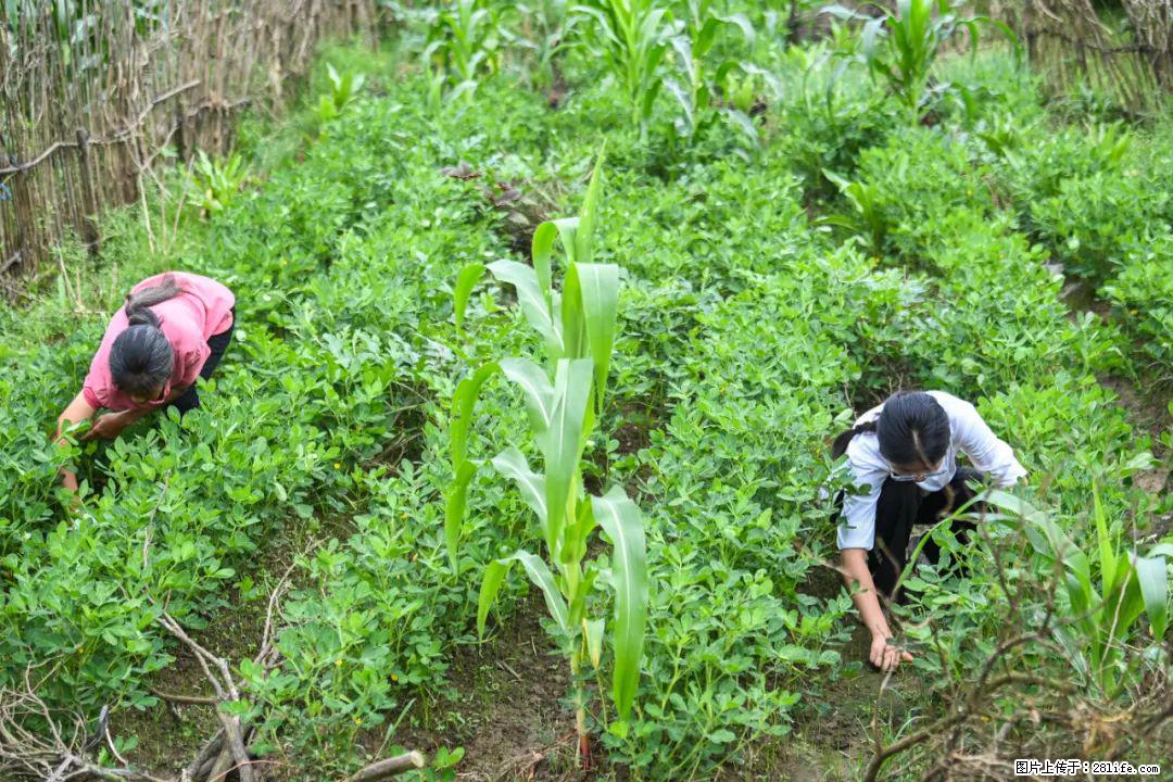 全网追的“扁担女孩”,找了一份暑假工,时薪12元 - 内江生活资讯 - 内江28生活网 scnj.28life.com