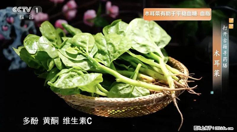 比牛奶补钙还厉害!凉血解毒、稳血糖...这菜冬天必吃,很多人却当草 - 内江生活资讯 - 内江28生活网 scnj.28life.com