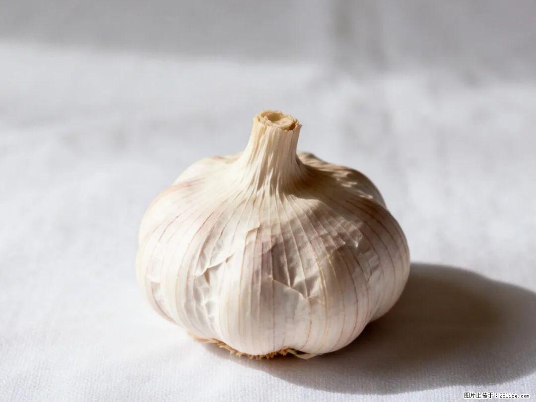 关于大蒜，除了“天然抗生素”，这4个谣言更该警惕! - 内江生活资讯 - 内江28生活网 scnj.28life.com