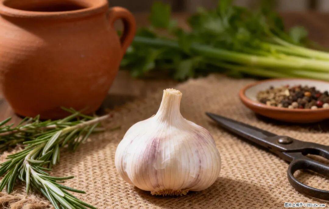 关于大蒜，除了“天然抗生素”，这4个谣言更该警惕! - 内江生活资讯 - 内江28生活网 scnj.28life.com