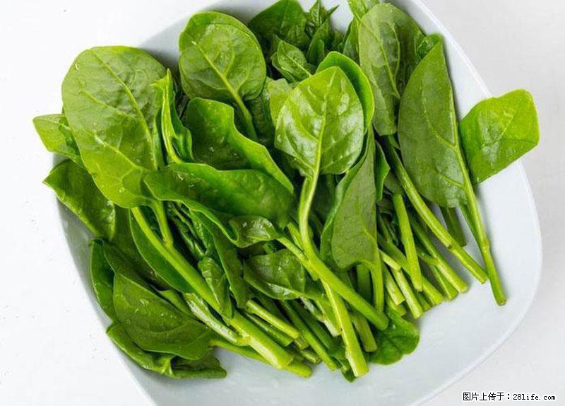 这些蔬菜是“天然钙片”，这6种被医生重点推荐 - 内江生活资讯 - 内江28生活网 scnj.28life.com