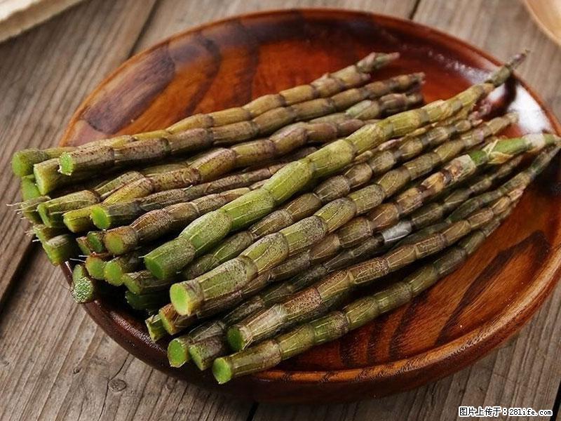 铁皮石斛的作用与功能主治 - 内江生活资讯 - 内江28生活网 scnj.28life.com